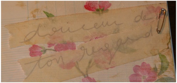 douceur-de-ton-regard-detail1