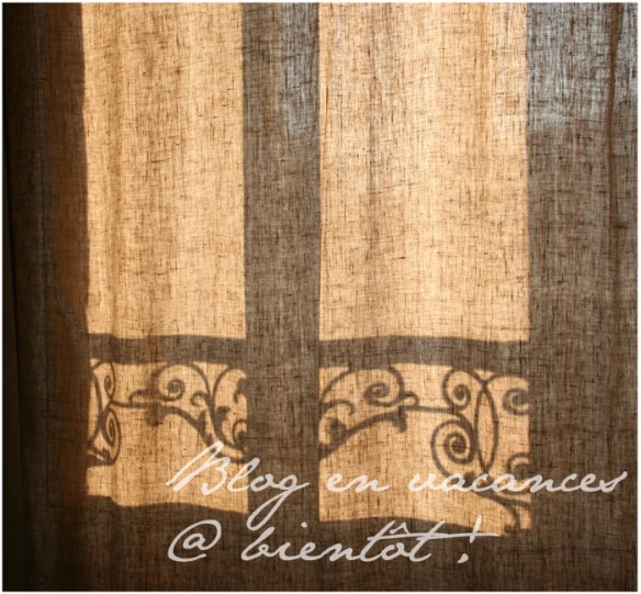 blog en vacances 2009